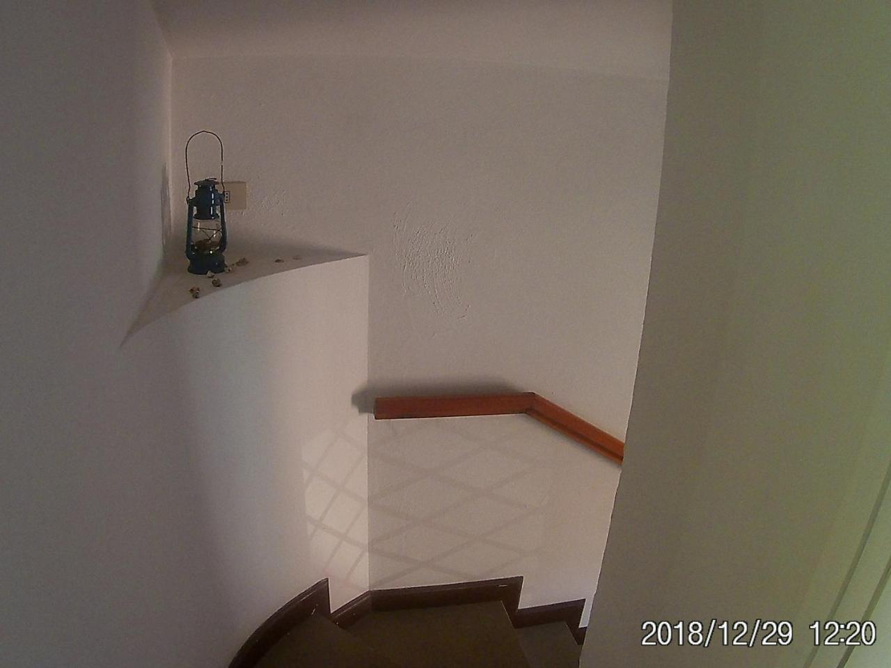 La Casa Di Nataly Acomodação com café da manhã Fregenae Exterior foto