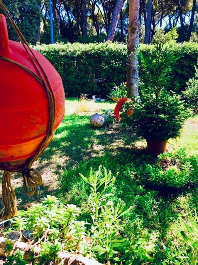 La Casa Di Nataly Acomodação com café da manhã Fregenae Exterior foto