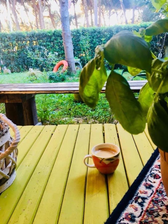 La Casa Di Nataly Acomodação com café da manhã Fregenae Exterior foto