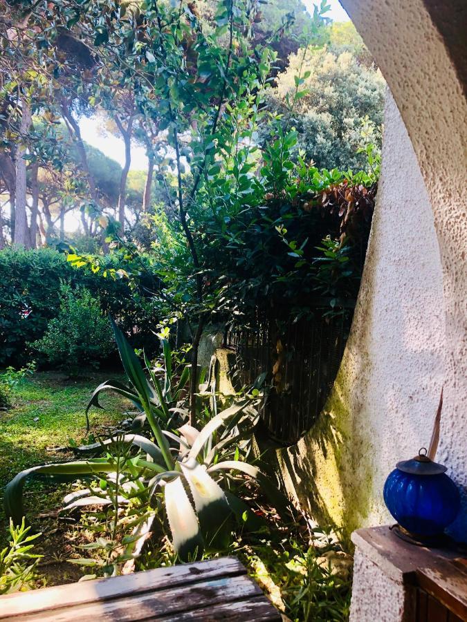 La Casa Di Nataly Acomodação com café da manhã Fregenae Exterior foto