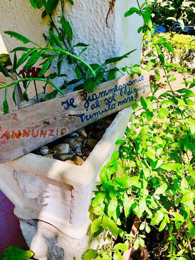 La Casa Di Nataly Acomodação com café da manhã Fregenae Exterior foto